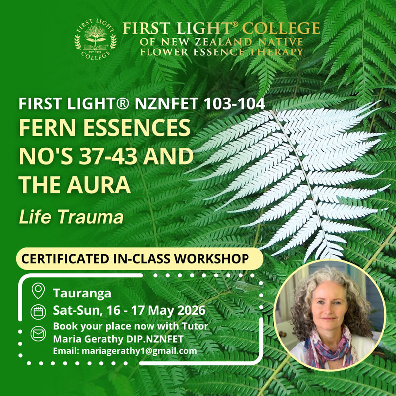 first light flower essence workshops Tauranga - ferns