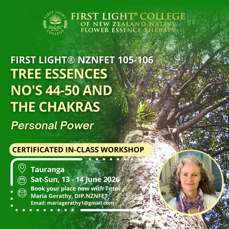 first light flower essence workshops Tauranga - trees