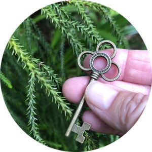 HypnoSuccess® Life Path Master Key© single session